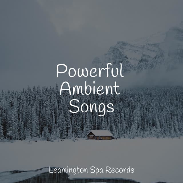Powerful Ambient Songs - The Sleep Specialist