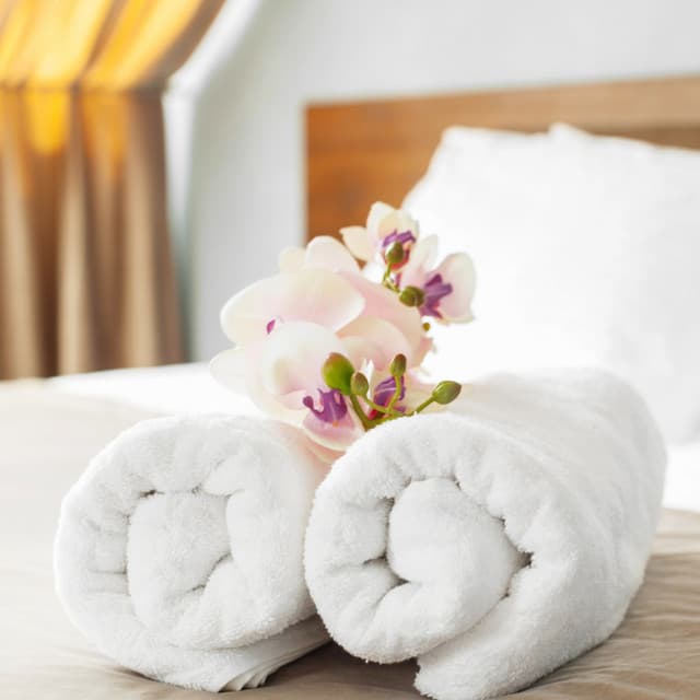 Spa Harmony: Soothing Tunes for Wellness - Ambient Tech