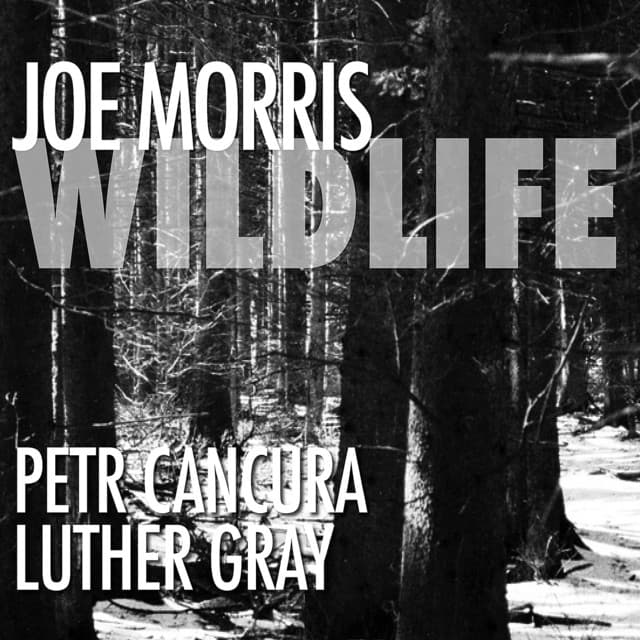 Wildlife - Joe Morris