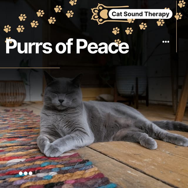 Cat Sound Therapy: Purrs of Peace, Sanctuary of Calm - Cat & Calm