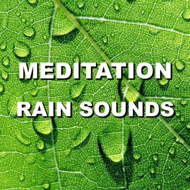 Meditation Rain Sounds - Wind and Rain Sounds