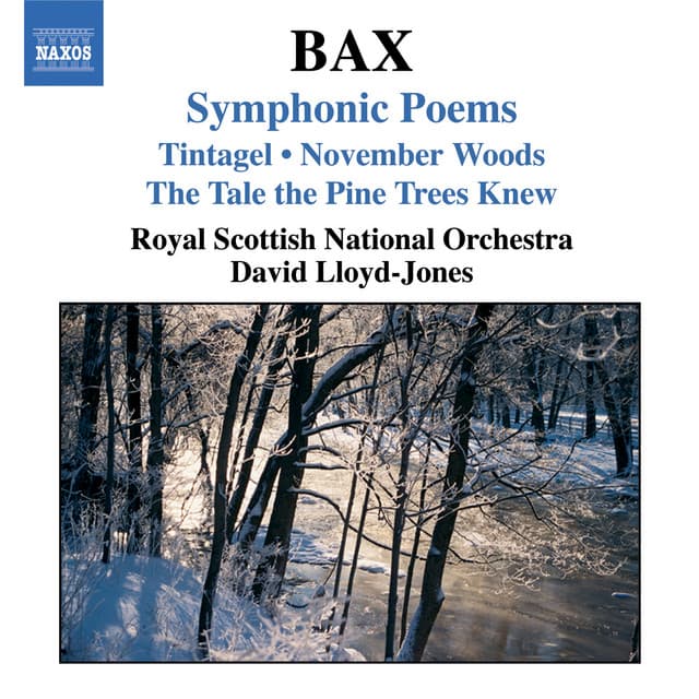 Bax: Symphonic Poems - Arnold Bax