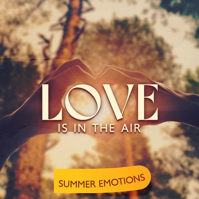 Love Is In The Air: Summer Emotions - 7 Types Of Spirits