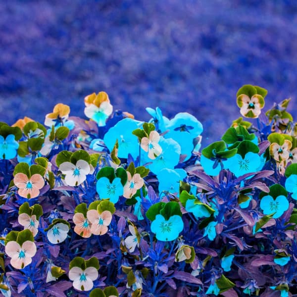 Music for Balancing Thought - Sleepy Lofi Beats