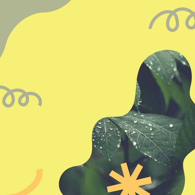 Jazz Organ and Bossa Guitar Trio - Music for Chill Out Spheres - Cleaning Music