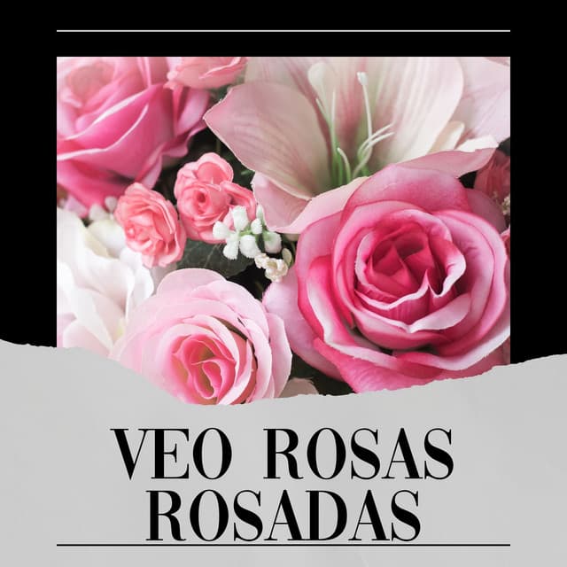 Veo Rosas Rosadas - Meditación Con Ruido Rosado