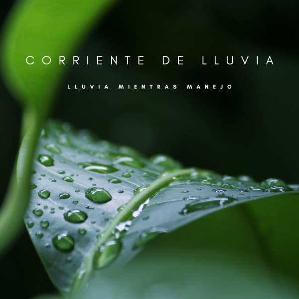 Corriente De Lluvia: Lluvia Mientras Manejo - Lluvia PQ
