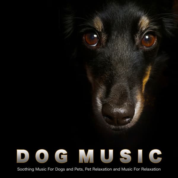 Dog Music: Soothing Music For Dogs and Pets, Pet Relaxation and Music For Relaxation - Dog Music