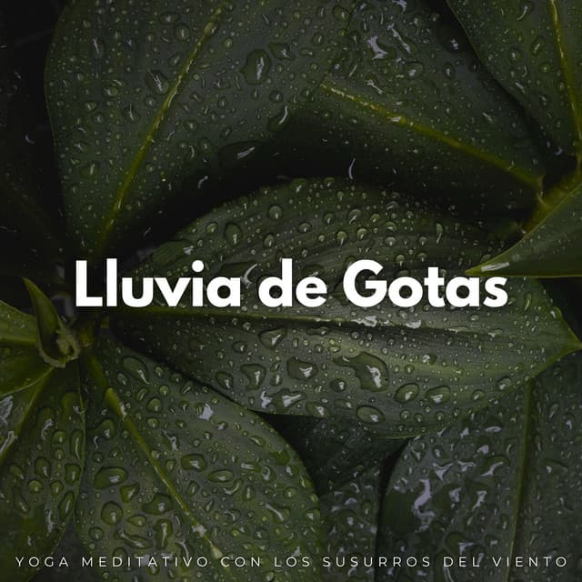 Lluvia De Gotas: Yoga Meditativo Con Los Susurros Del Viento - Lluvia de yoga