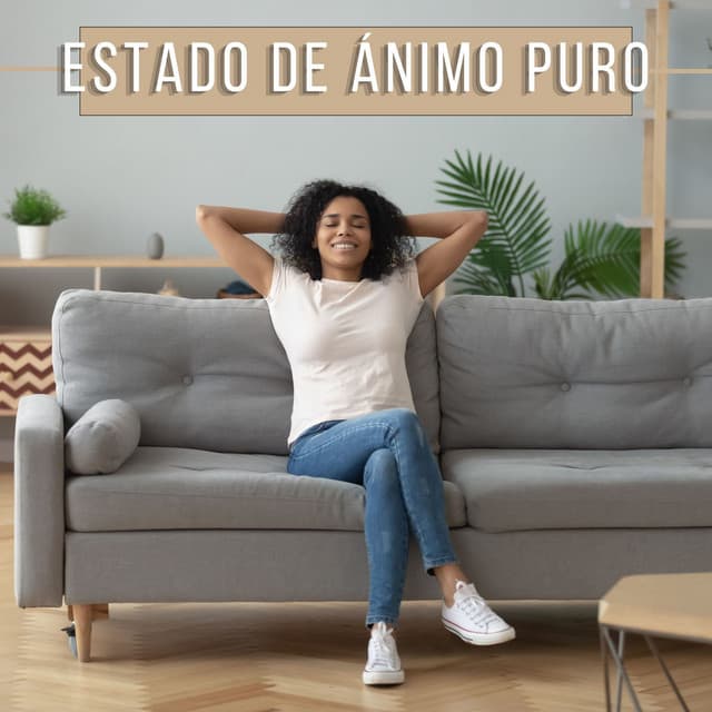 Estado de Ánimo Puro: New Age Instrumental y Sonidos Naturales para Mejorar el Estado Emocional, Reducir la Ansiedad y Encontrar Remedio para el Sueño - Calmar la Ansiedad