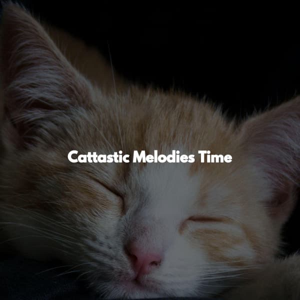 Cattastic Melodies Time - Cooking Music Chill