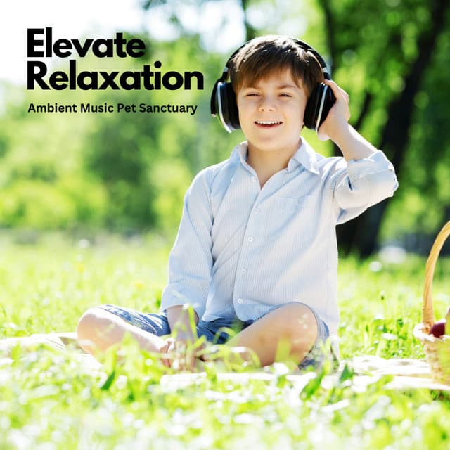 Elevate Relaxation: Ambient Music Pet Sanctuary - Elevator Music
