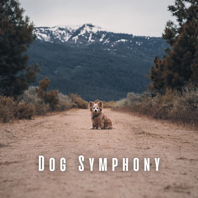 Relaxing Dog Music Society