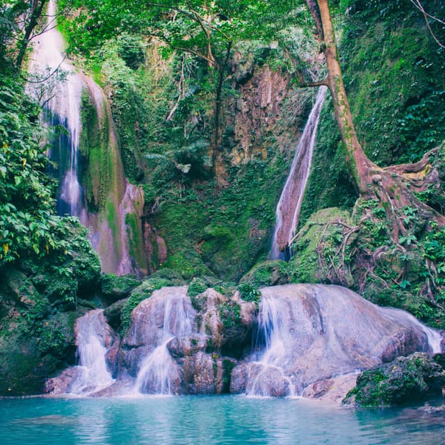 River's Pampering Melodies: Relaxing Music Flow of Water - Soft Background Music