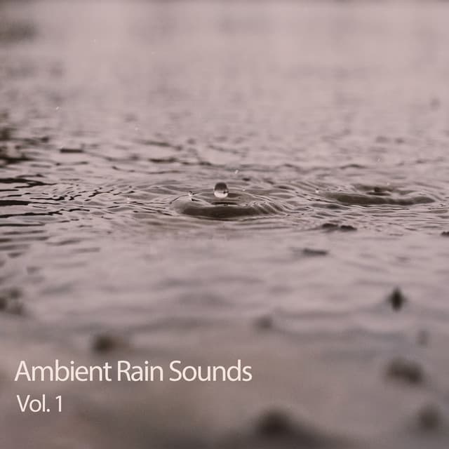Ambient Rain Sounds Vol. 1 - Study Music & Sounds