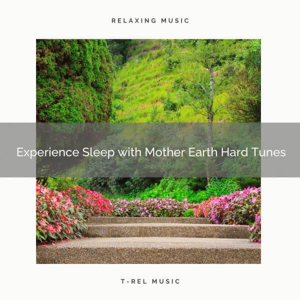 Experience Sleep with Mother Earth Hard Tunes - Ambient Forest
