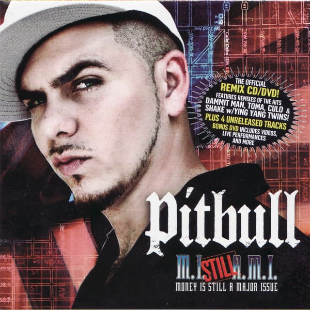 Money Is Still A Major Issue - Pitbull