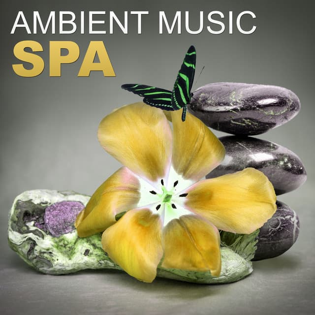 Spa Music Consort