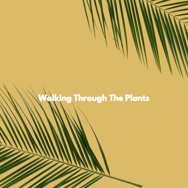 Walking Through The Plants - University Jazz Cafe