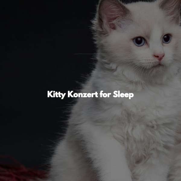 Kitty Konzert for Sleep - Afternoon Chill Out Playlist