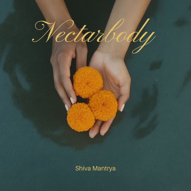 Nectarbody: Echoes from the Inner Ghat - Shiva Mantrya