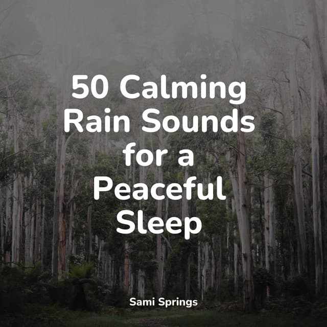 50 Calming Rain Sounds for a Peaceful Sleep - Academia de Meditação Buddha