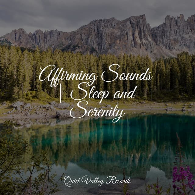 Affirming Sounds | Sleep and Serenity - Meditação Maestro
