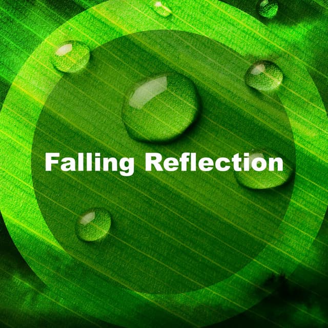 Falling Reflection - Day & Night Rain