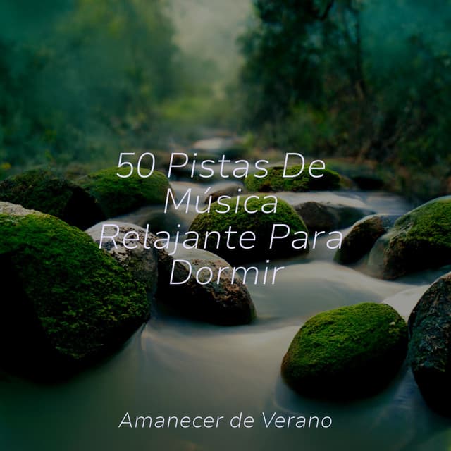 50 Pistas De Música Relajante Para Dormir - Meditation Relaxation Club