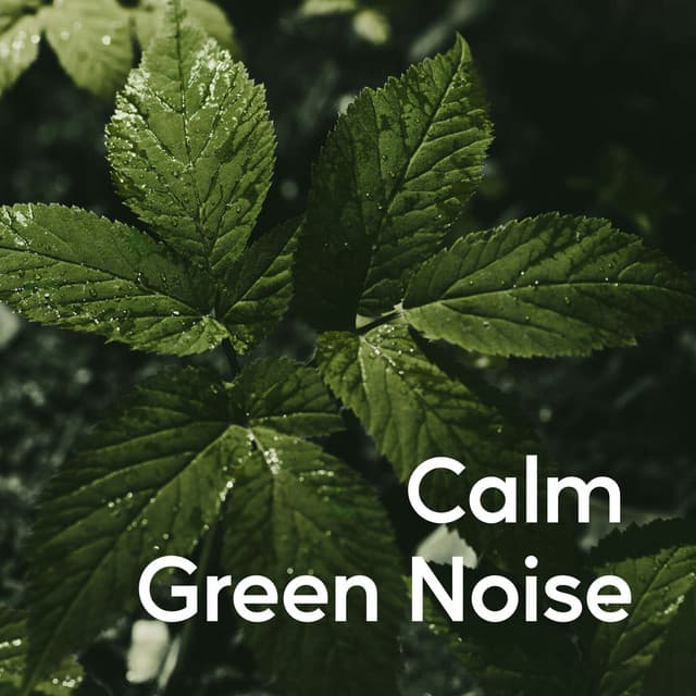 Calm Green Noise - Heilende Geräusche Der Natur Academie
