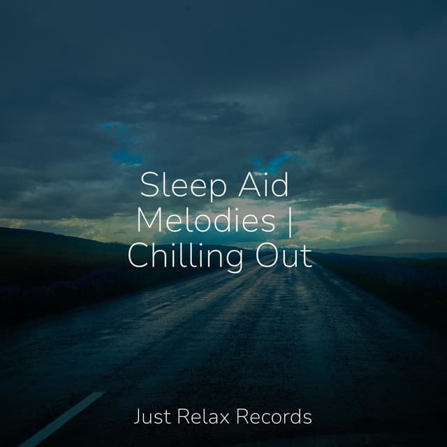 Sleep Aid Melodies | Chilling Out - Study Music & Sounds