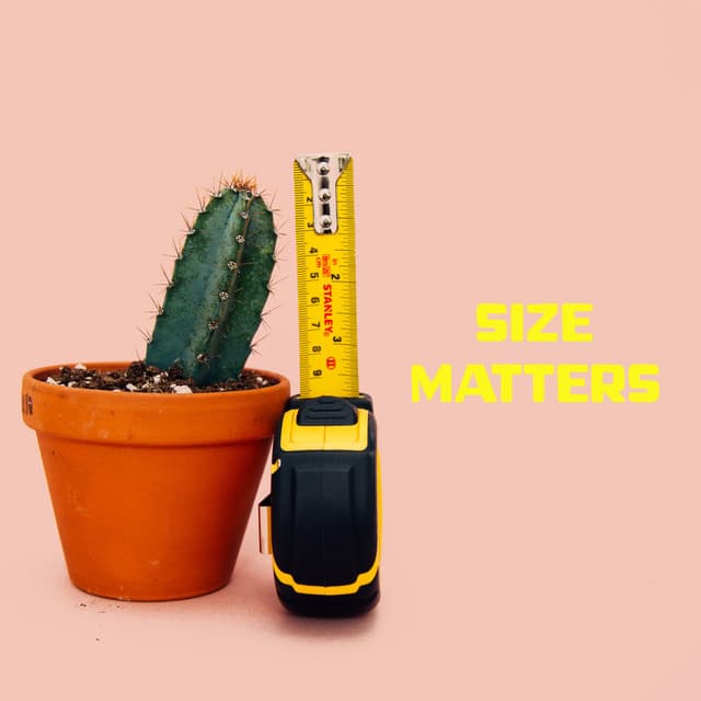 Size Matters - Making Love Music Ensemble