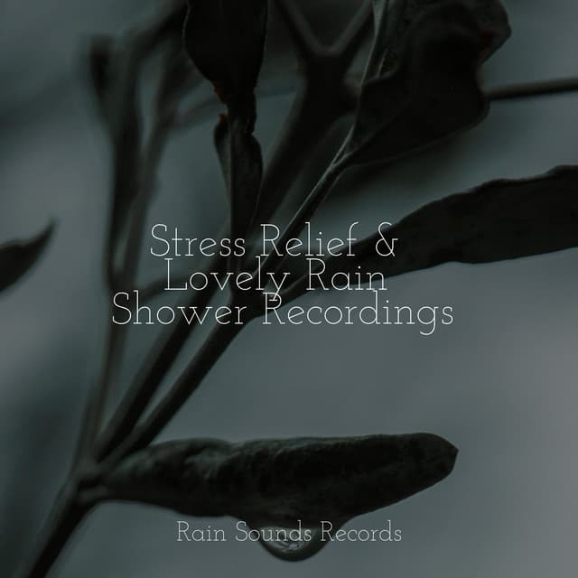 Stress Relief & Lovely Rain Shower Recordings - Canción de Cuna