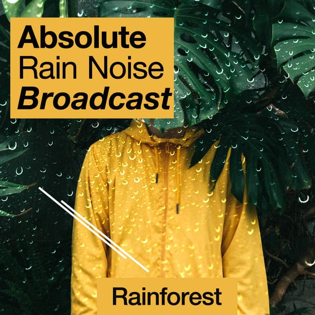 Absolute Rain Noise Broadcast - Rainforest