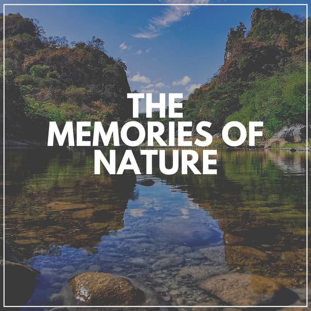 The Memories of Nature - Rain Sounds Nature Collection