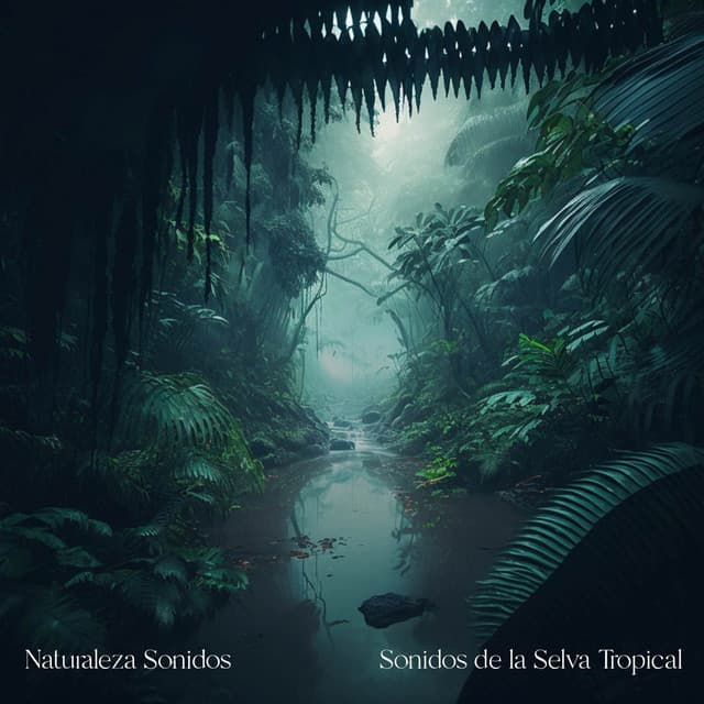 Sonidos de la Selva Tropical - Naturaleza Sonidos