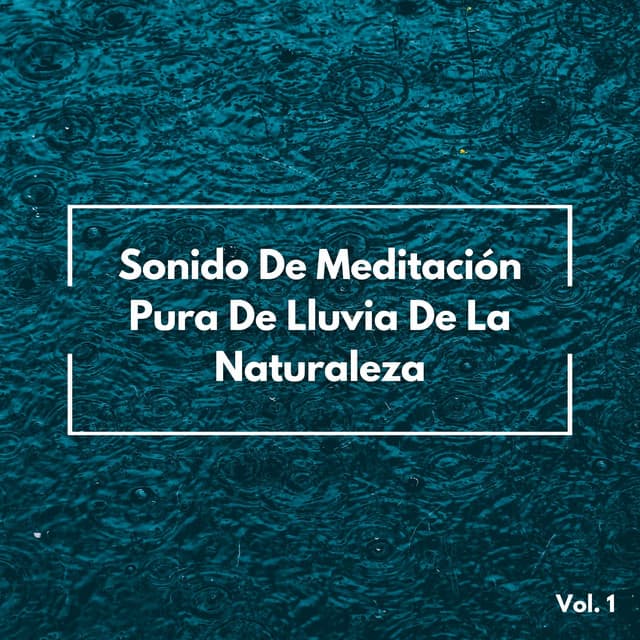 Sonido De Meditación Pura De Lluvia De La Naturaleza Vol. 1 - Sonidos de lluvia ASMR