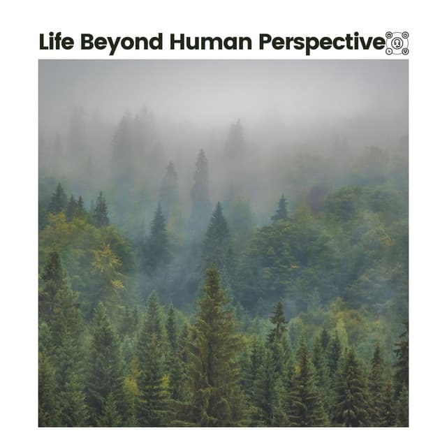 Life Beyond Human Perspective - Nature & Sounds Backgrounds