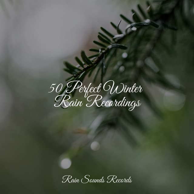 50 Perfect Winter Rain Recordings - Ambiente