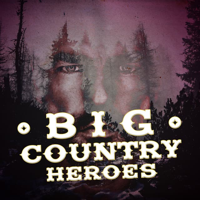 Big Country Heroes - Country Pop All-Stars