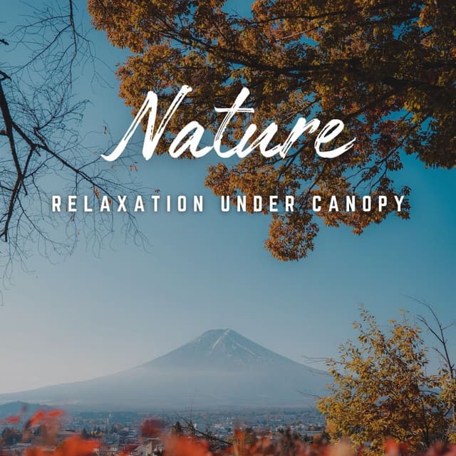 Forest Retreat: Relaxation Under Canopy - Cleaning Music