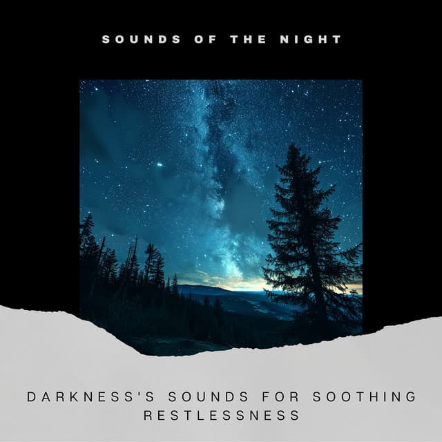 Darkness's Sounds for Soothing Restlessness - Sounds of the Night