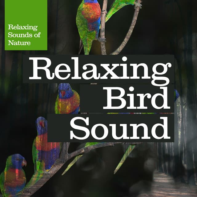Relaxing Bird Sound - Relaxing Sounds Of Nature