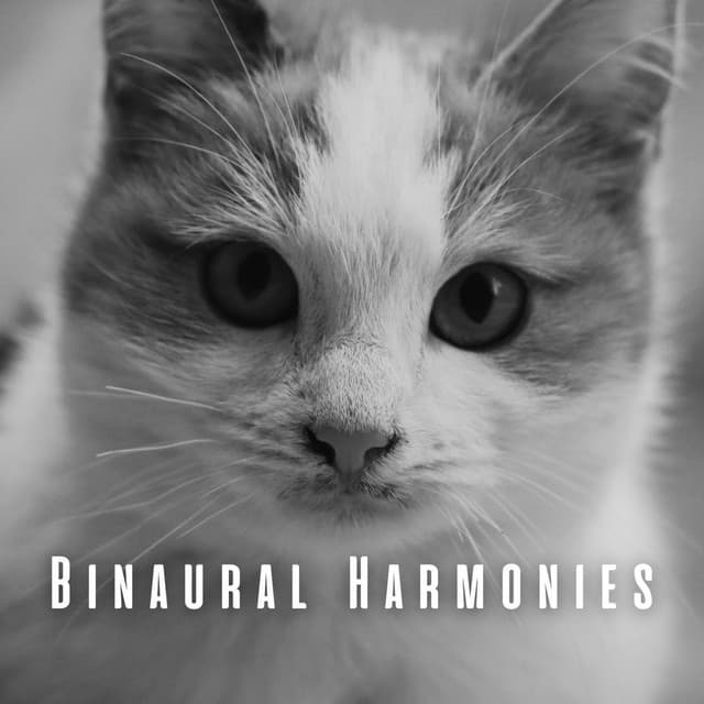 Binaural Harmonies: Calm Rain Sounds with Theta Waves for Cats - April Shower