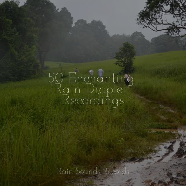 50 Enchanting Rain Droplet Recordings - Binaural Beats Brainwave Entrainment