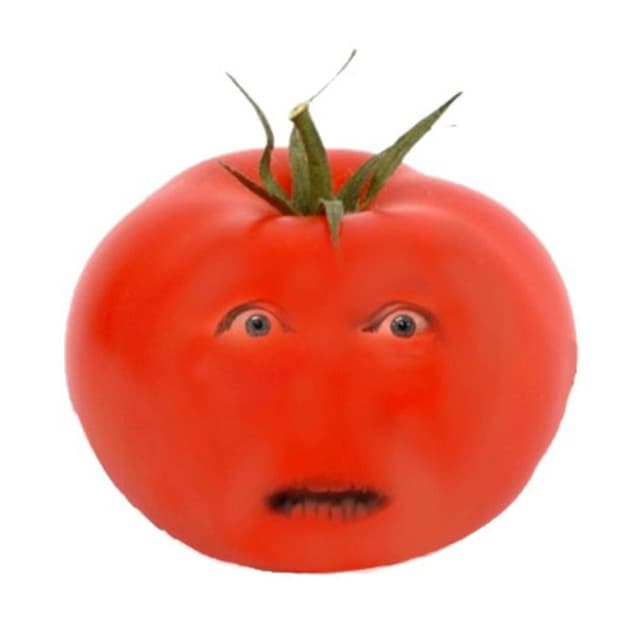 Het irritante tomaat lied! | Grappige liedjes - De Tekentovenaar