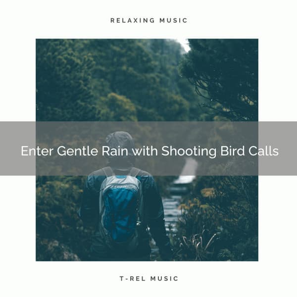 1 Enter Gentle Rain with Shooting Bird Calls - Deep Rain Sampling