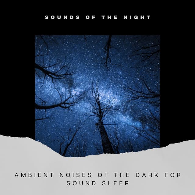 Ambient Noises of the Dark for Sound Sleep - Sounds of the Night