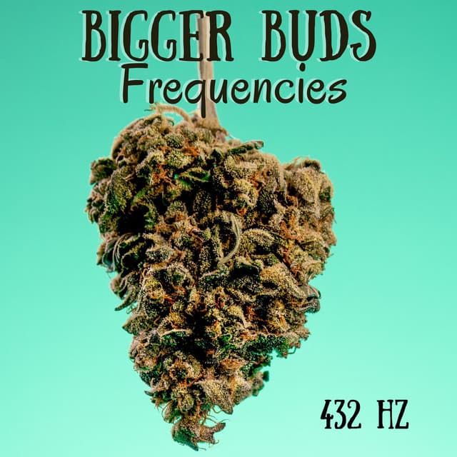 432 Hz Bigger Buds Frequencies: Solfeggio Frequency for Cannabis Growth - Plant Music Paradise