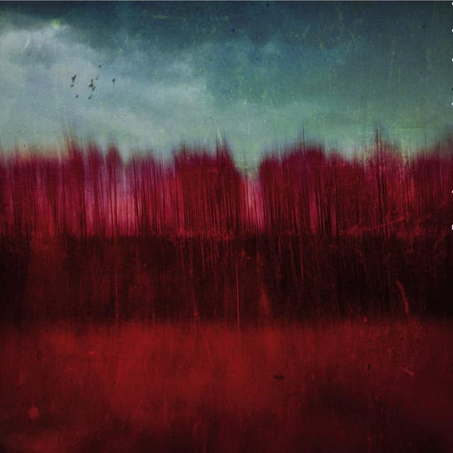 Colour Division - Ian Boddy